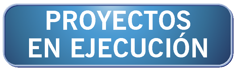 Proyectos en ejecución